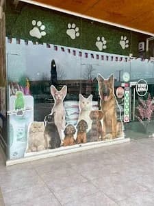 Ritmo Animal