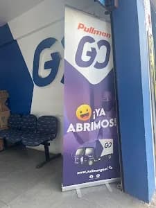 Pullman Go