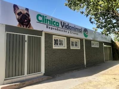CLINICA VETERINARIA VIDANIMAL