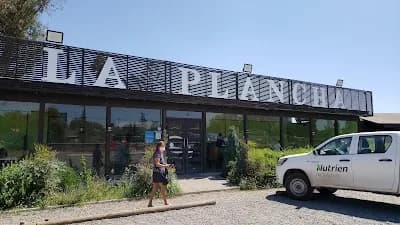 La Plancha