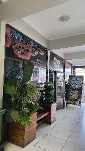 Hakuna Matata Grow-Tienda Talagante