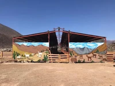Los Ciruelos parcela 4