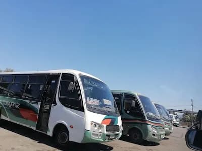 Buses Talagante