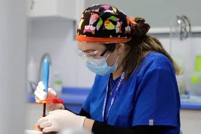 CEM Dental