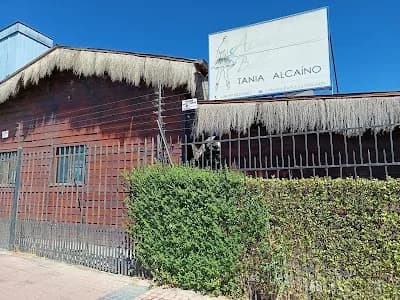 Academia de Ballet Y Artes Tania Alcaino Talagante