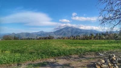 Empresa De Transportes Servicios Y Comercial Talagante S.A.