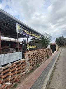 Vulcanizacion