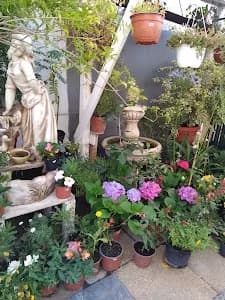 Jardin y Vivero San Enrique