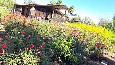 Vivero don pablo