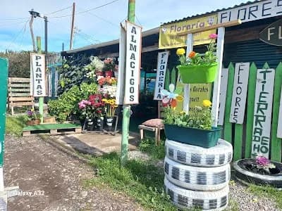 Mi mundo plantas