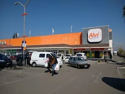 Alvi