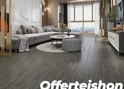 Offerteishon