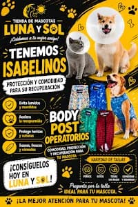 alimento y accesorios para mascotas luna y sol